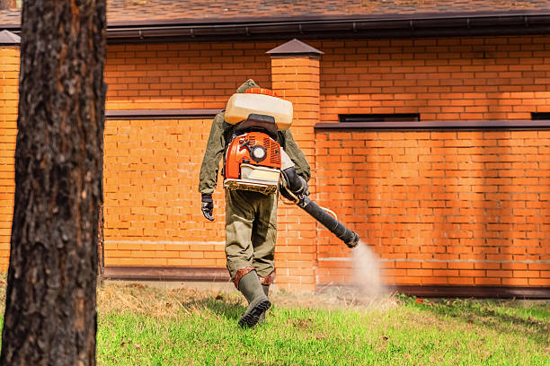 Trusted Emergency Pest Control service in Youngwood, PA - Nex Pest Control